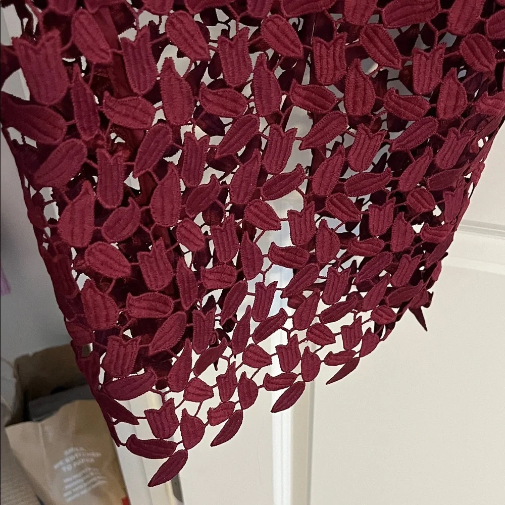 Bardot Elegant Backless Wine Lace Dress 8